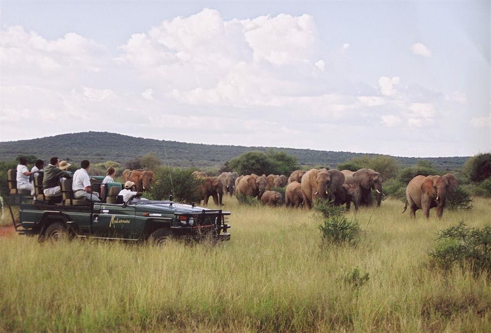 Makanyane Safari Lodge